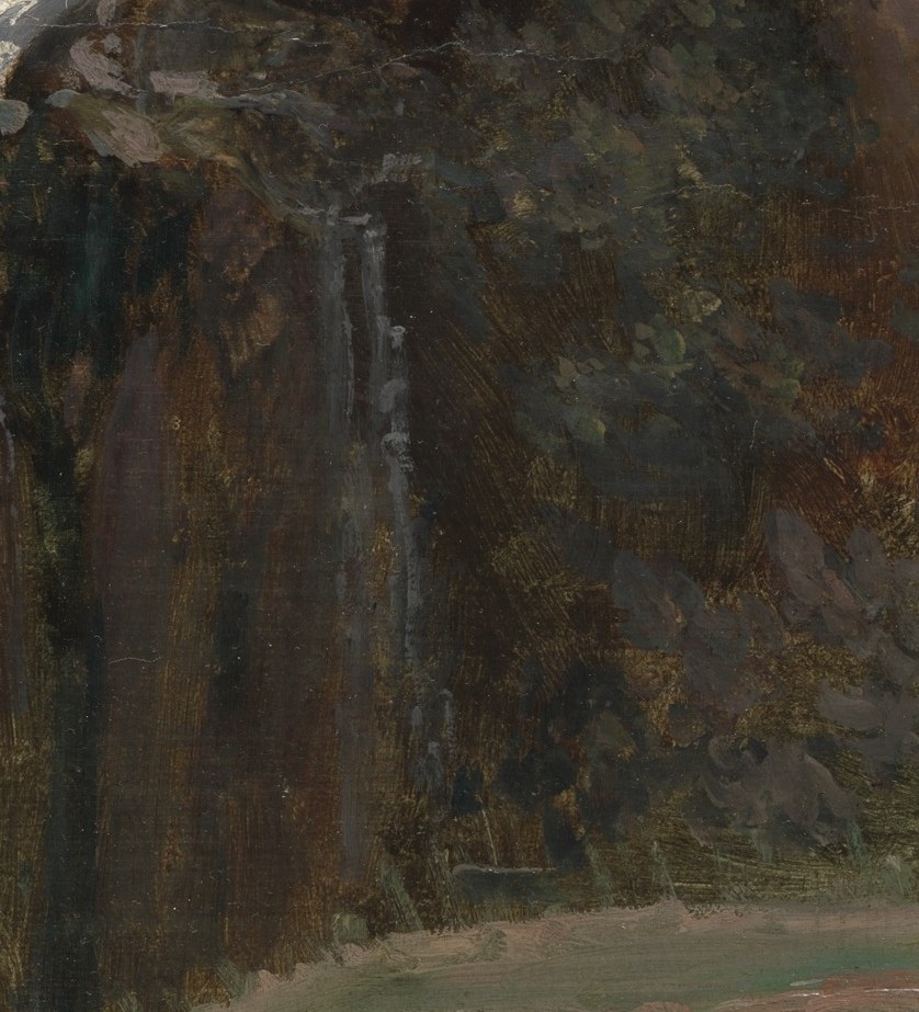 He captures the rugged texture of the dark cliff face.