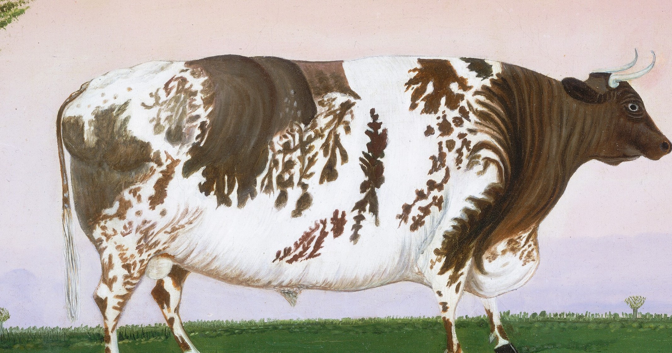 The animal is painted with care, with a distinctive patchy coat.
