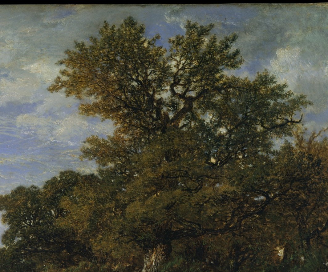 This is Fontainebleau Forest, 1852.