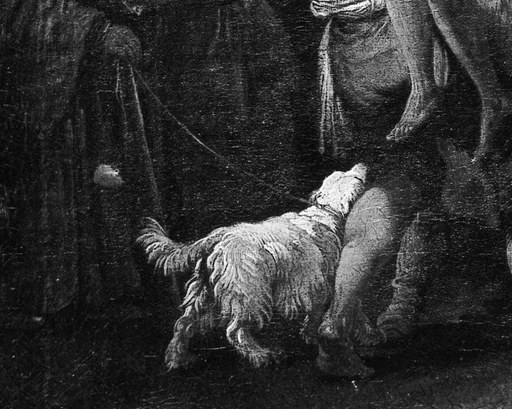 Now look at the dog.
