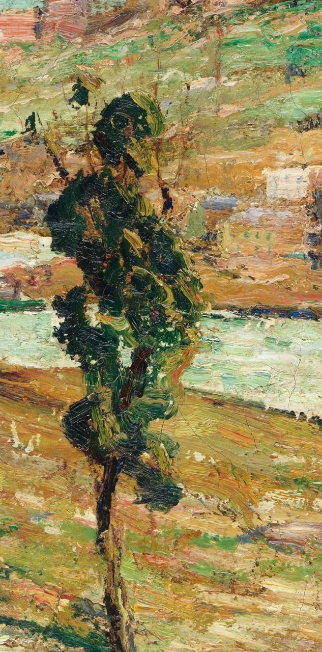 A solitary tree has weathered the years.