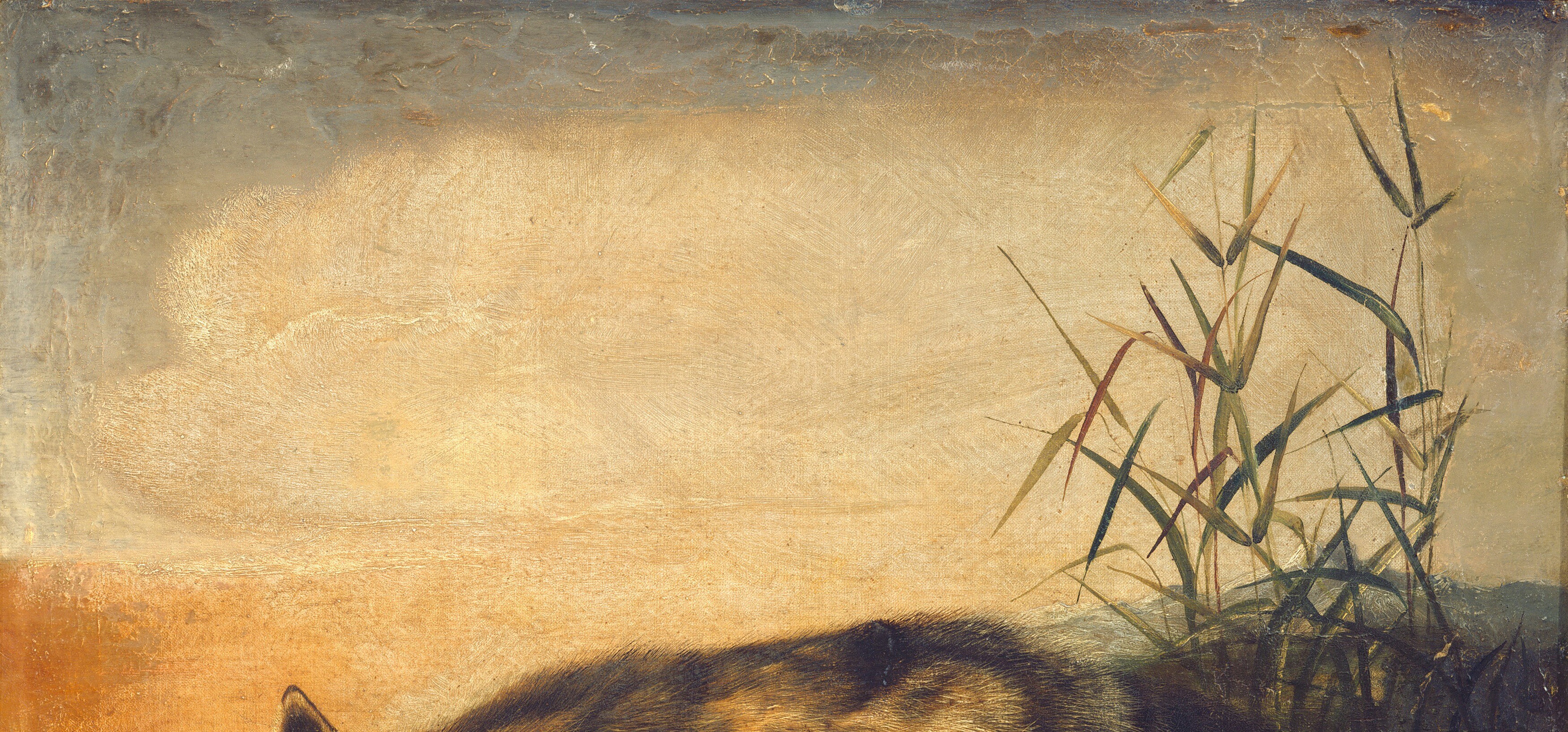 The soft, warm light creates a serene atmosphere and hints at the time of day.