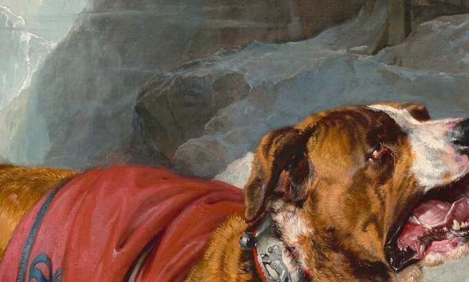 The heavily detailed collar with its brass or iron spikes signals these are working animals equipped for alpine duty, a filmable close-up that grounds the historical reality