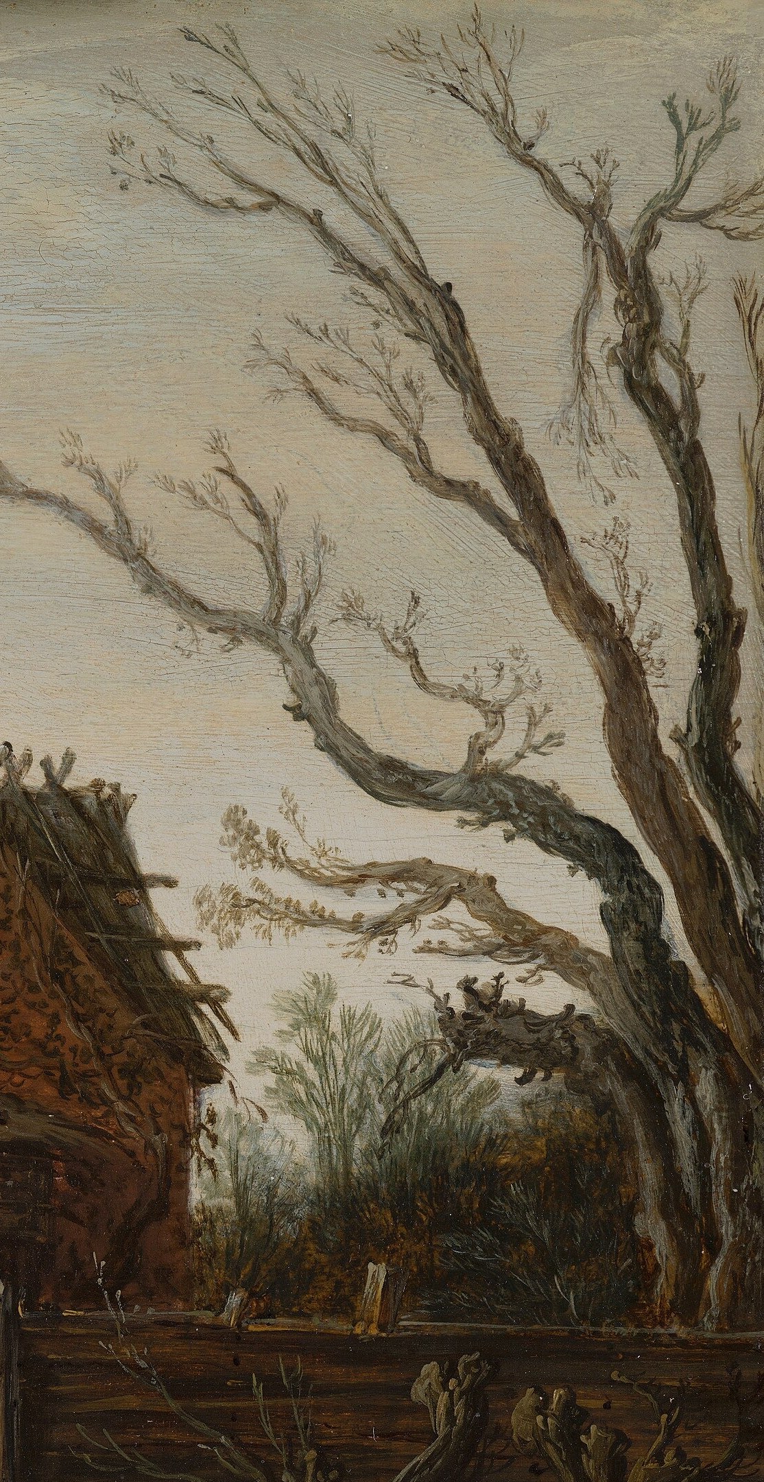 The stark, skeletal trees emphasize the harshness and stillness of the winter season.