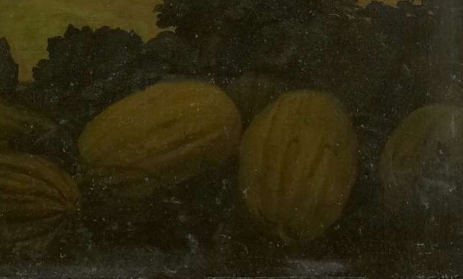 And next to it, these gourd-like objects.