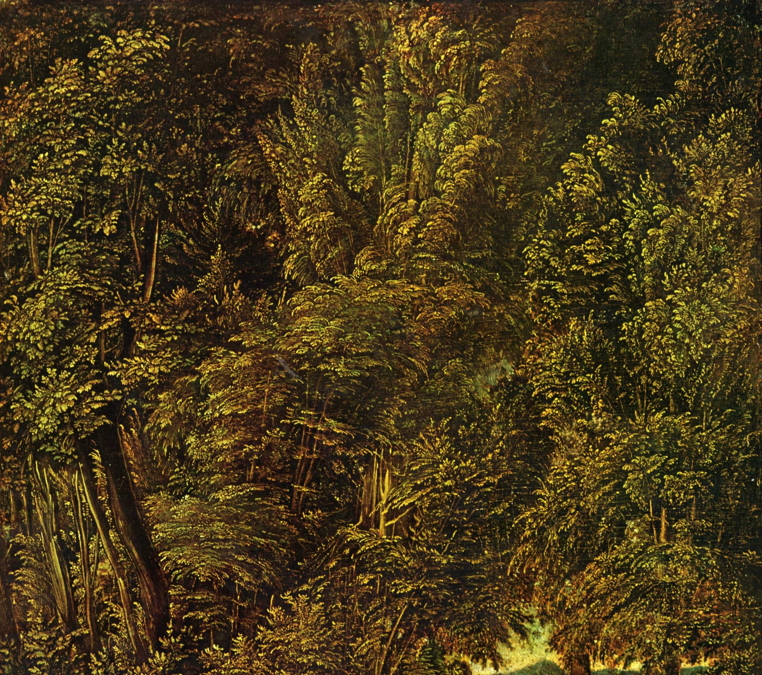 Look what fills the frame: not the hero, but the trees.