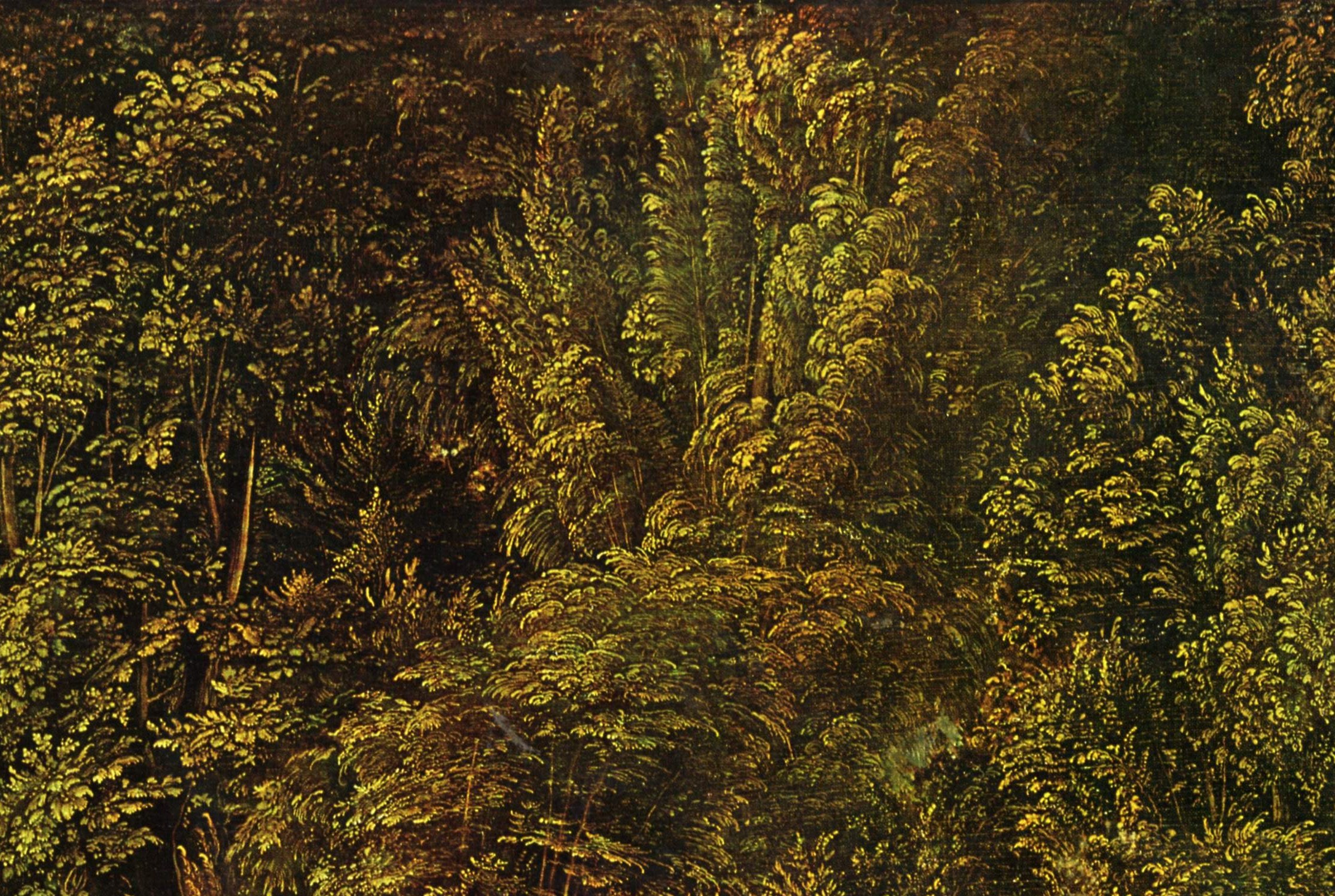The canopy consumes two-thirds of the painting. In 1510, this was radical.