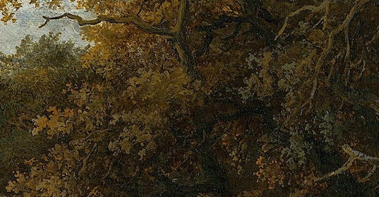 The dappled light filtering through the foliage creates a vibrant, almost shimmering effect.