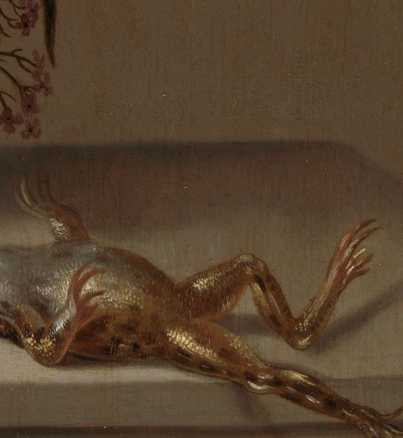 This painter shows them alongside a dead frog and decaying grapes.