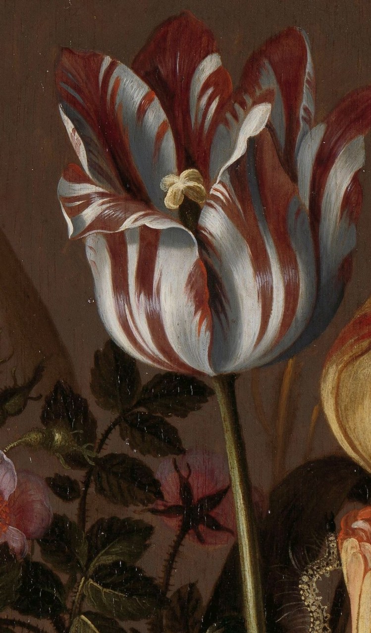 In 1634, the year this was painted, tulips were currency.