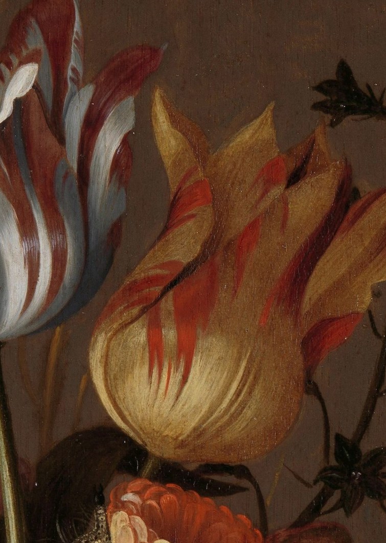 Tulip bulbs traded for more than houses in what became 'Tulip Mania'.