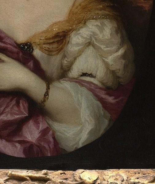 The painter, Nicolaes Maes, trained with Rembrandt.