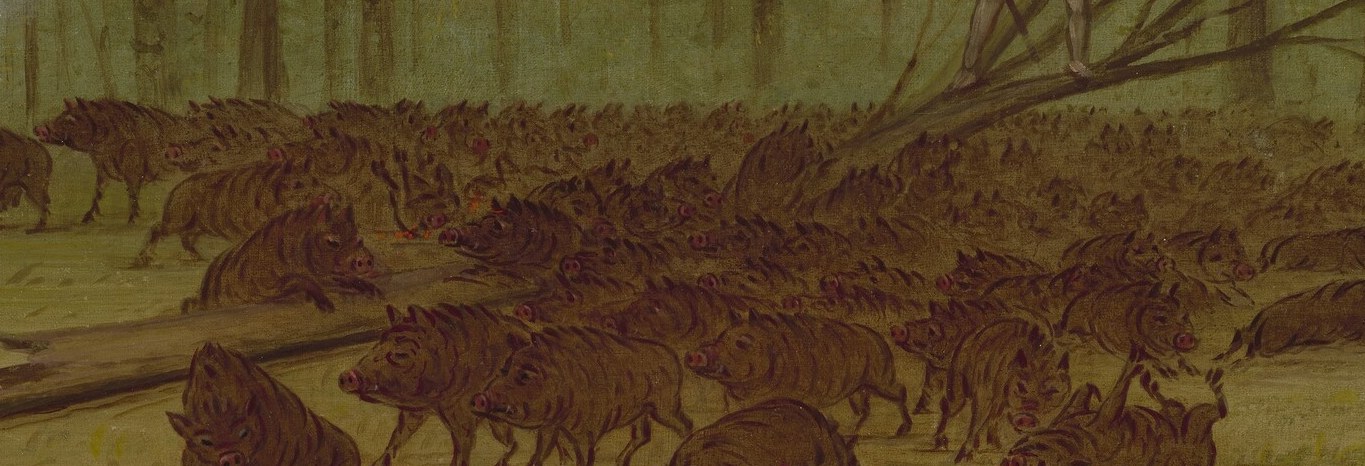 Wild peccaries attack a hunter on a fallen tree trunk.