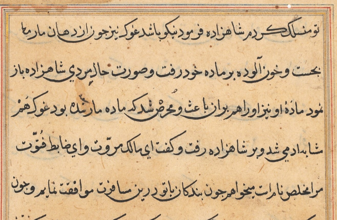 Their stories were told in the Tuti-nama, or Tales of a Parrot.