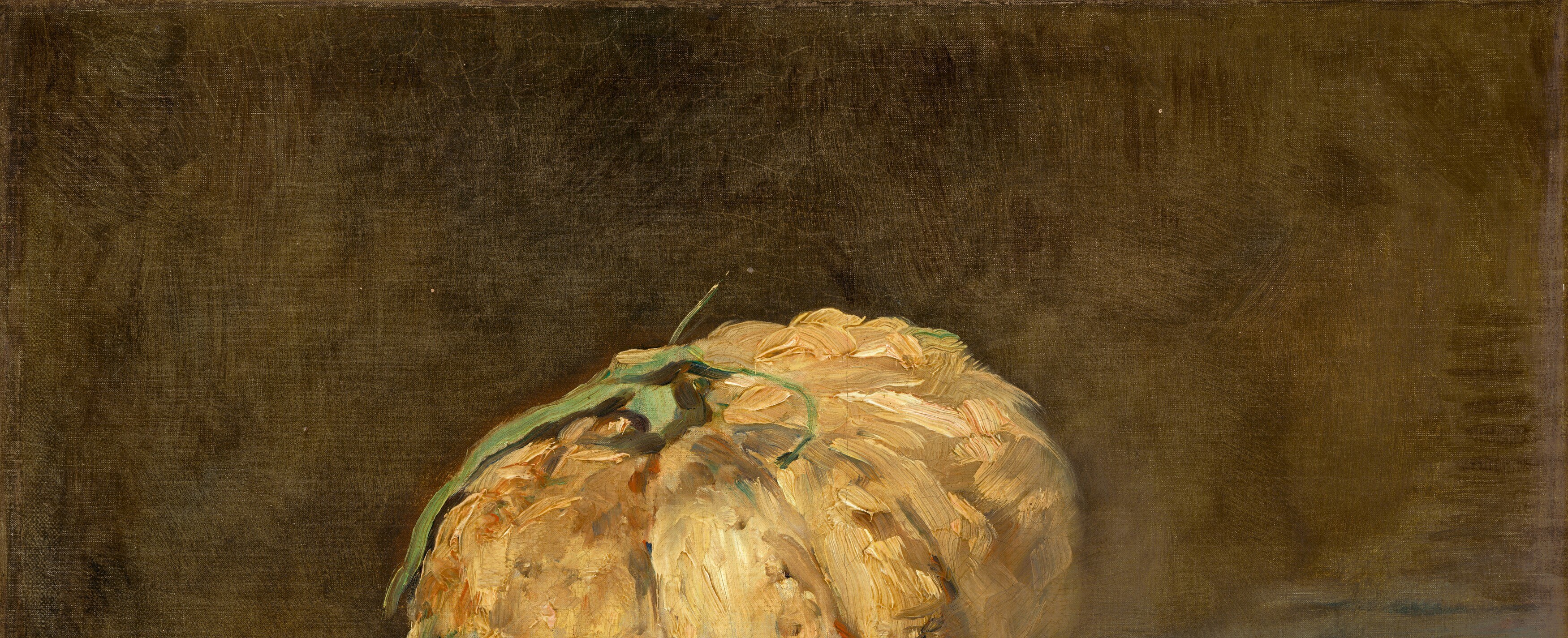 The deep, undefined background pushes the melon forward, emphasizing its presence and form.
