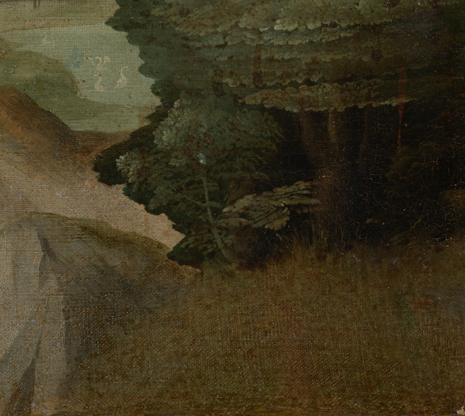 The dark, textured foliage creates a sense of enclosure and mystery, contrasting with the open landscape beyond.