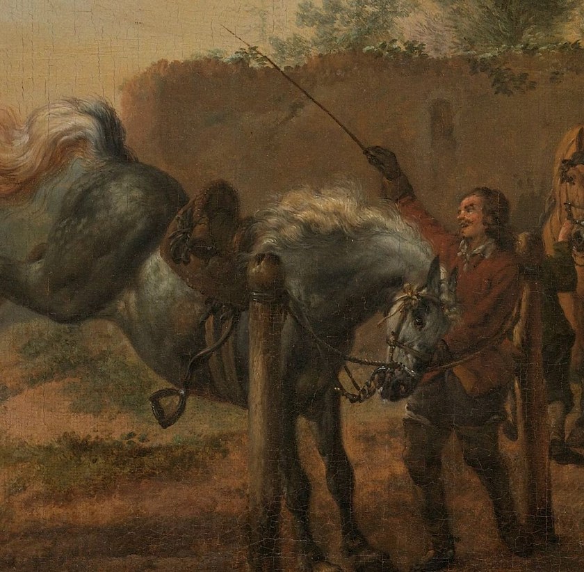 Its dynamic pose, with hindquarters raised, hints at a moment of training or spirited movement.