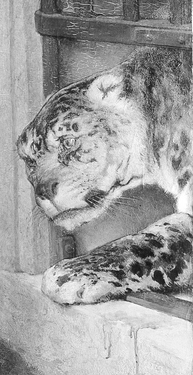 Leopards watch her with patient menace.