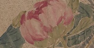 This peony blossom was painted nearly 200 years ago.