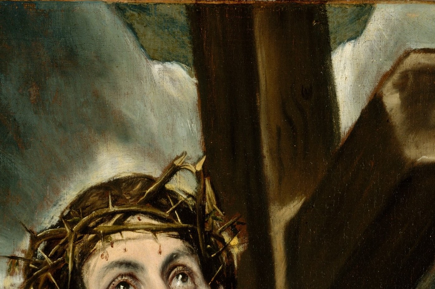 Individual thorn tips are rendered with precision; the crown presses visibly into the brow, making the physical suffering concrete rather than symbolic.