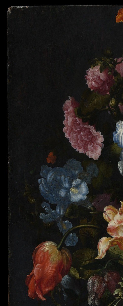 The void is not empty , it is the technique. Vosmaer uses it to eliminate spatial context entirely, making flowers float in timeless darkness and amplifying their inner luminosity through pure contrast.