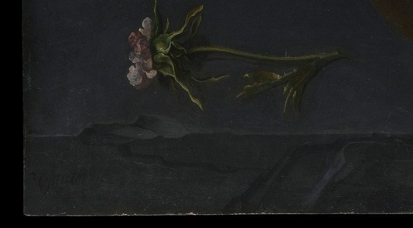 Look at the dropped petals. Even the decay was invented in a sketchbook.