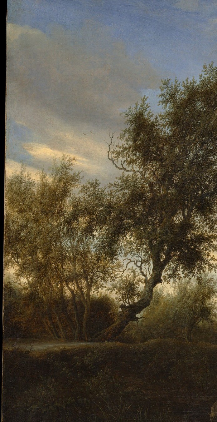 The dark mass of foliage creates a coulisse framing device and contrasts dramatically with the luminous sky , a classic repoussoir technique placing the viewer inside the scene.