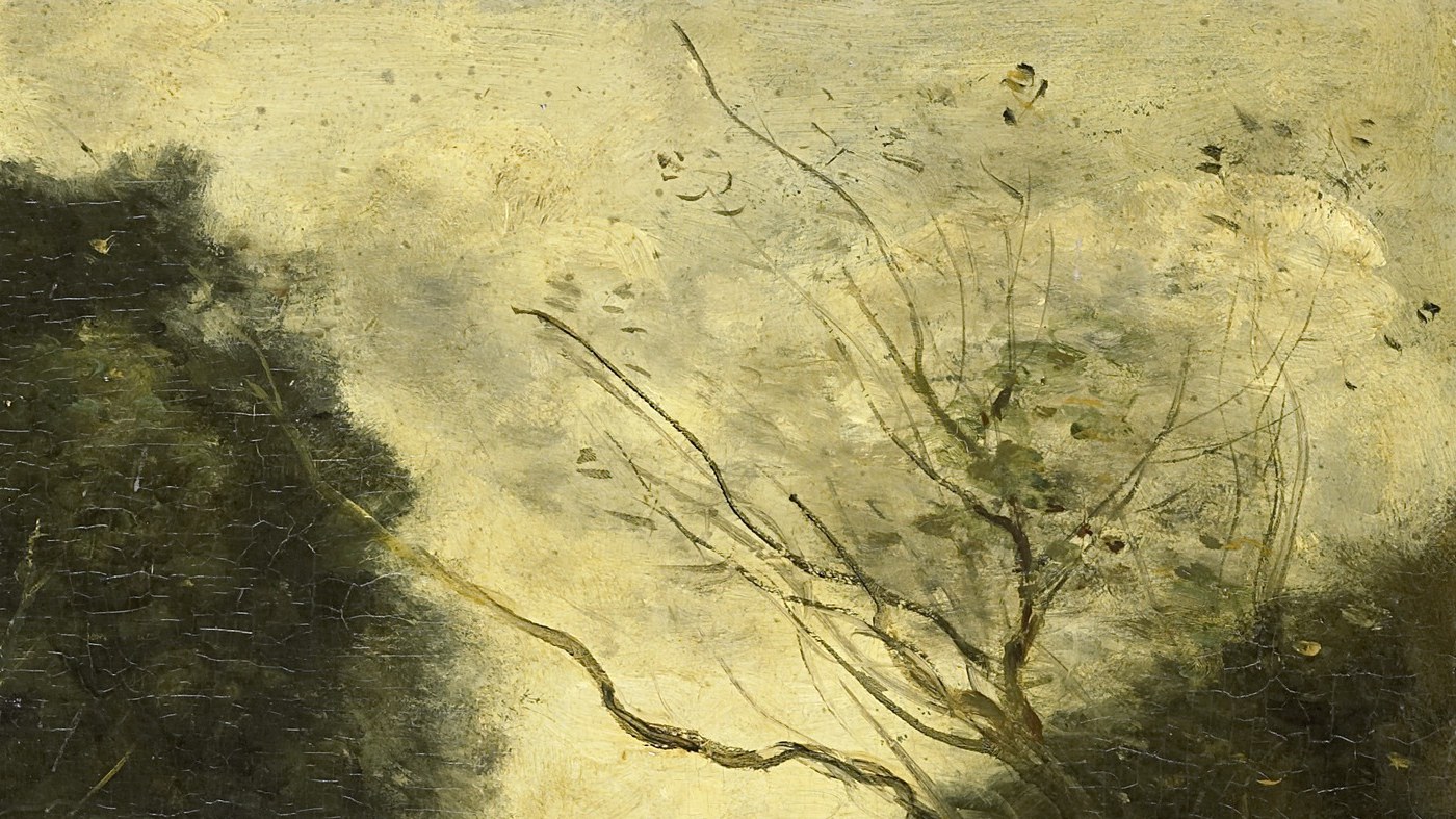 The luminous sky creates a strong contrast with the dark foliage, drawing the eye upwards.