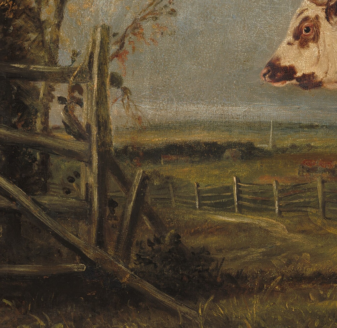 The rustic fence provides context and a sense of rural enclosure, hinting at the bull's domesticated status.