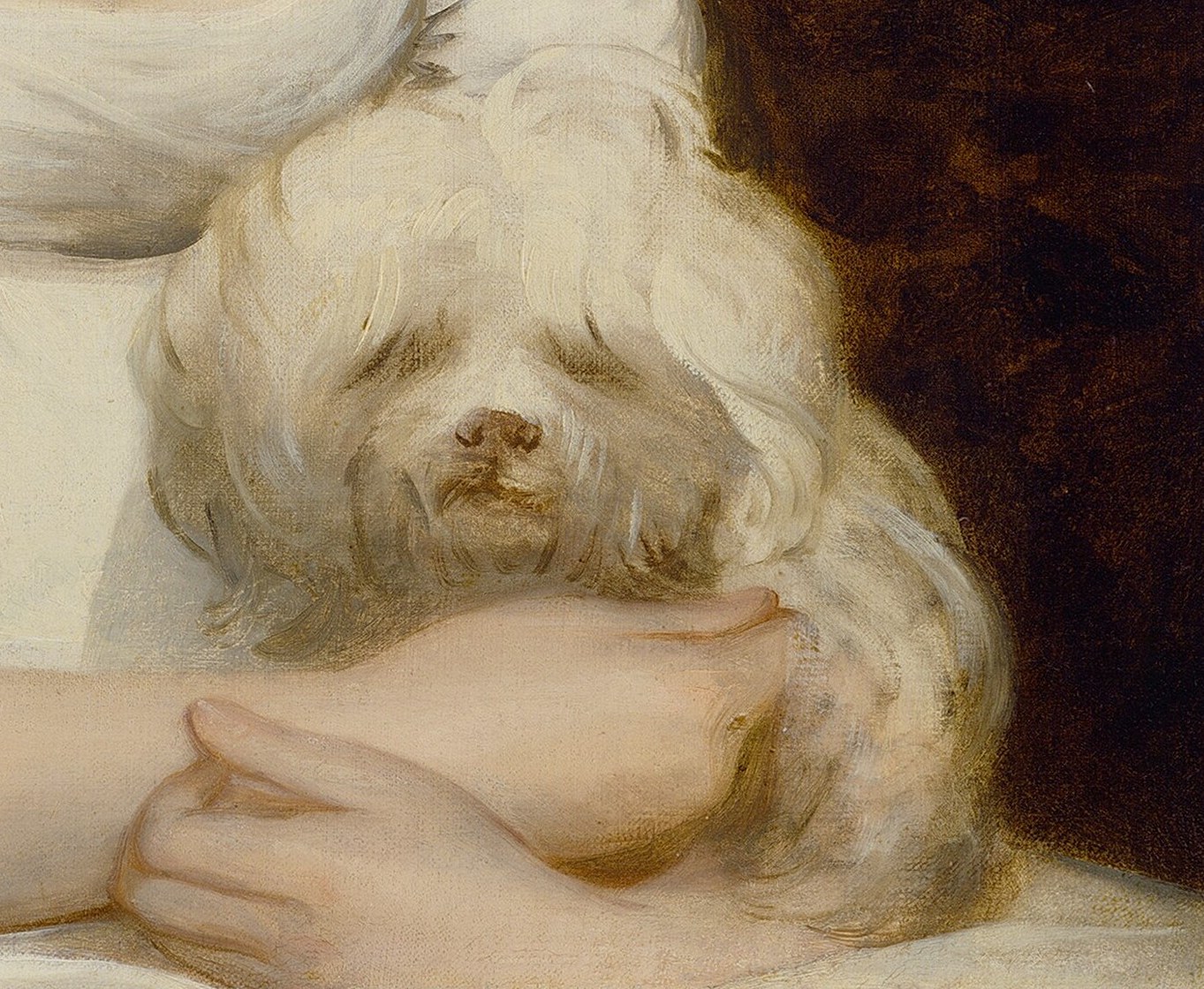 Notice her small white dog, cradled gently in her hands.