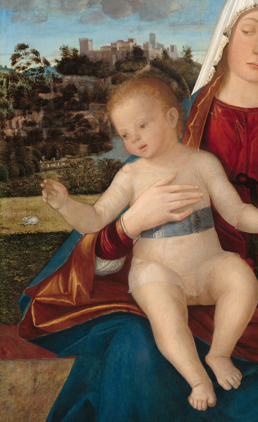 The saturated lapis lazuli blue signals both Marian purity and the cost of the commission; the fabric folds show Carpaccio's command of drapery volume.