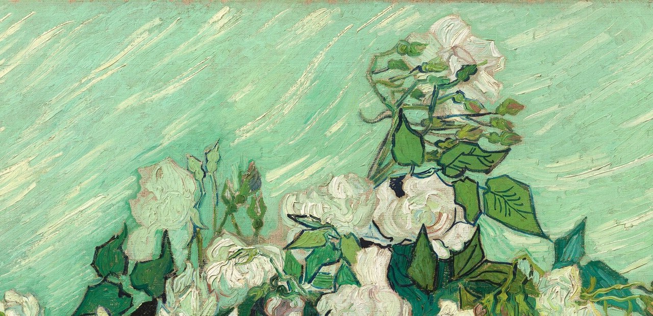 The painting's compositional apex , fully open blooms shoulder to shoulder, their layered petals showing Van Gogh's ability to describe softness through thick, directional impasto.