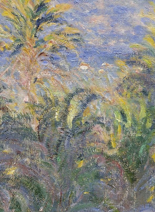 Its vibrant yellow-green foliage catches the light, suggesting the intense Mediterranean sun and exotic locale.