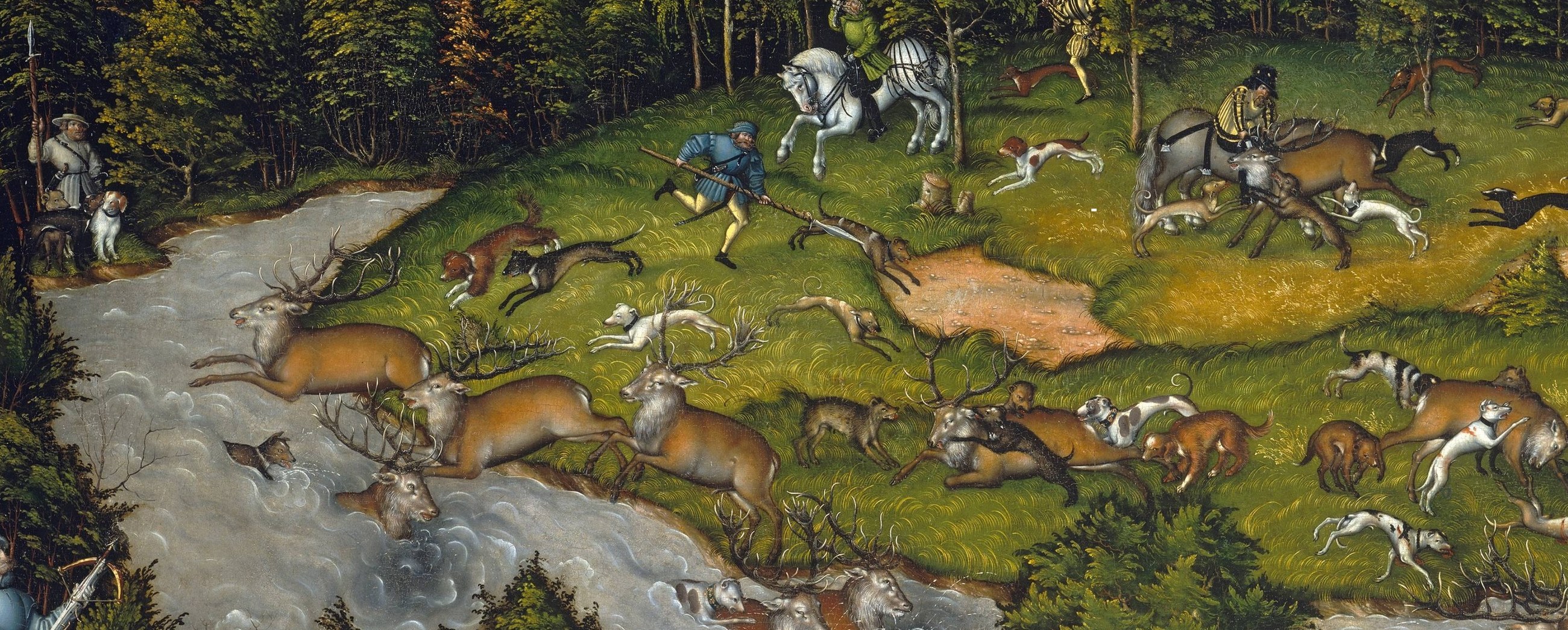 Dozens of deer are packed together, corralled, not stalked.