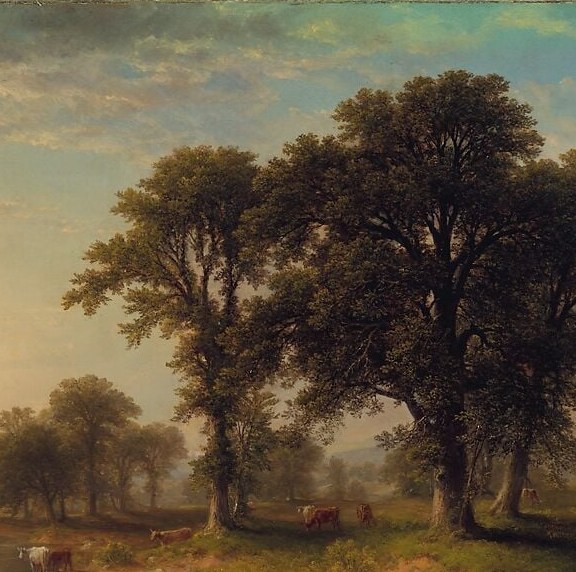 The dominant compositional anchor , its broad silhouette frames the luminous sky and creates the dappled light effect Durand was celebrated for; a slow pan from trunk to crown reveals layered foliage detail.