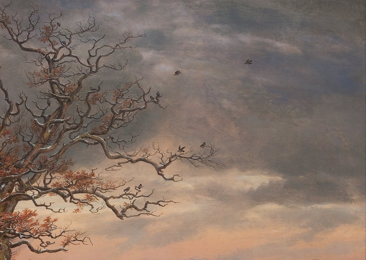 He captures the low, cold sun with subtle color shifts.