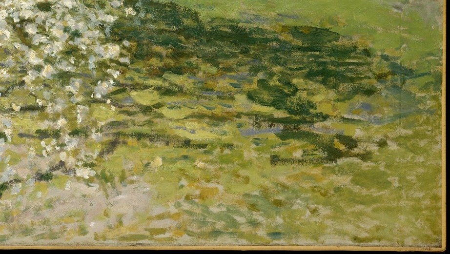 Look closely at the dappled shadows on the grass.