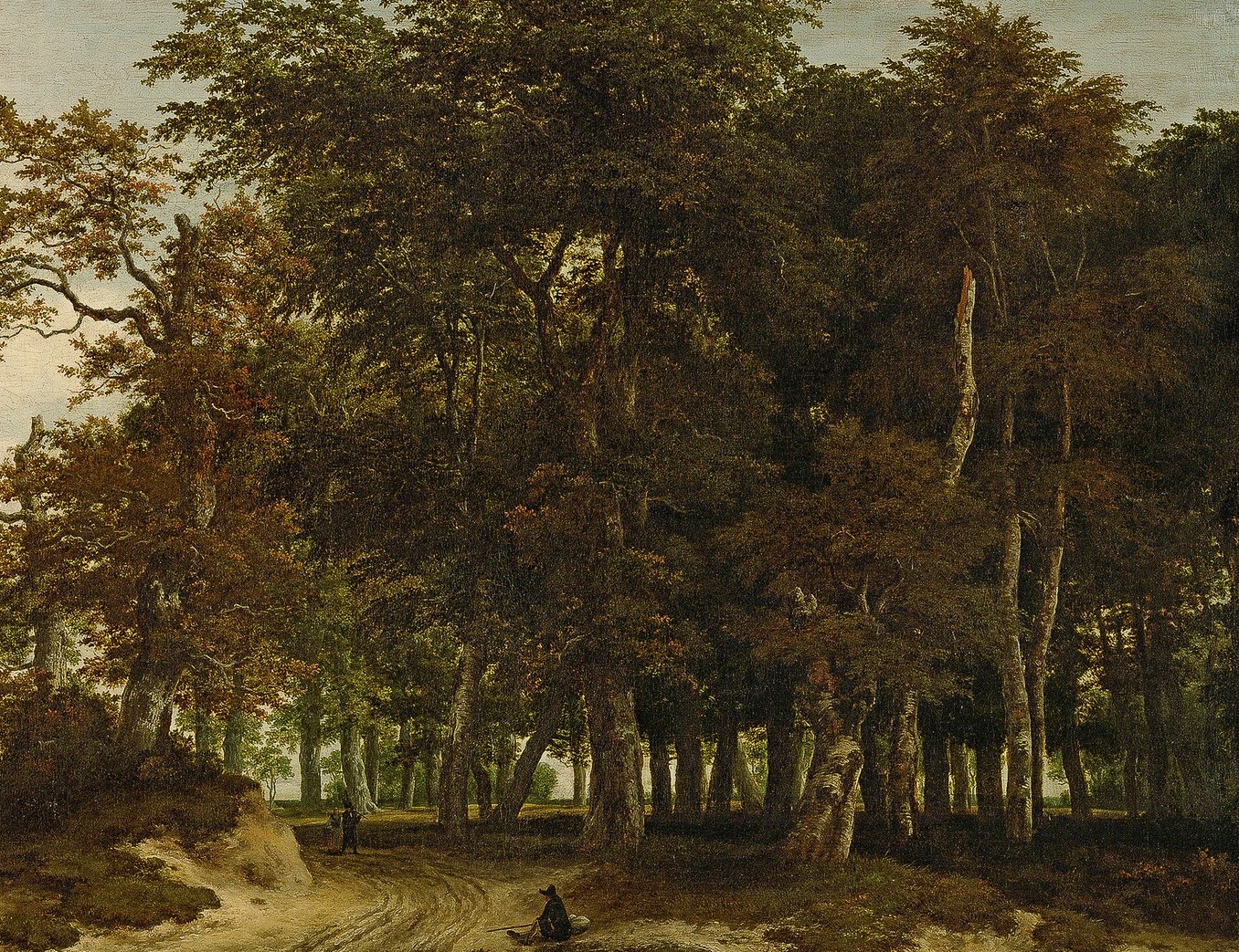 The interplay of light and shadow within the foliage creates a sense of depth and mystery, highlighting the texture of the leaves and branches.