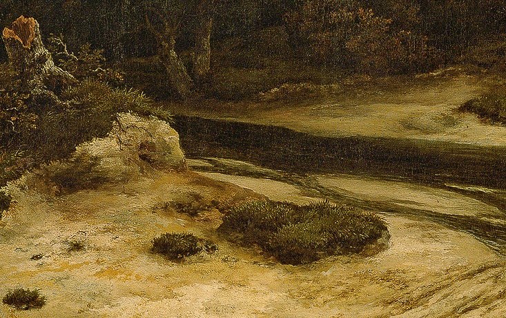 Look closely at the water in the foreground, near the path.