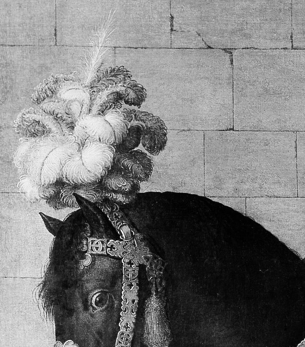 The horse's decorative headgear rivals the king's own dress , power projected through the mount as much as the rider