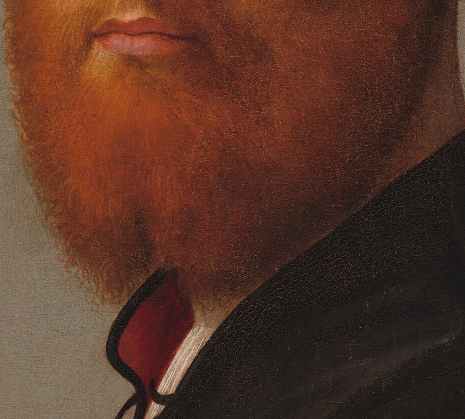 The vibrant color and texture of the beard add a striking visual element and suggest a robust personality.