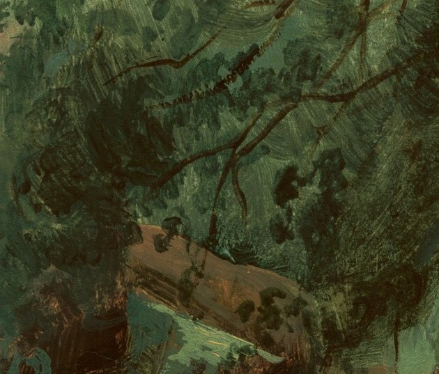 He is capturing the dense light filtering through the canopy.