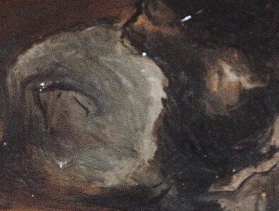 This shadowed figure adds depth, hinting at another observer.