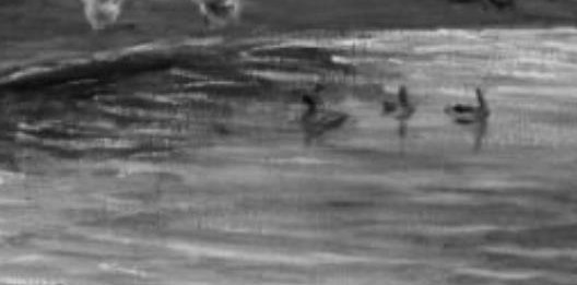 These ducks are a central focus, representing the peaceful coexistence of nature and rural life.