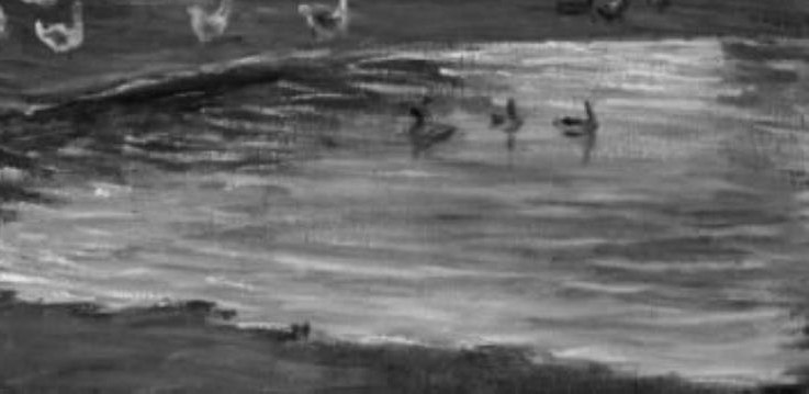 The water's surface, with its subtle reflections, adds depth and a sense of calm to the scene.