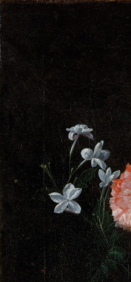 The Flemish dark-ground technique (borrowed from Caravaggio) is what makes the petals appear to glow with inner light , the darkness is not emptiness but a deliberate optical weapon.