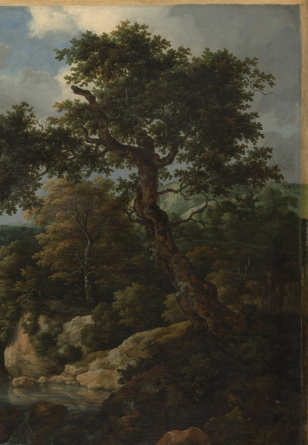 But Ruisdael painted forests no one alive had ever seen.