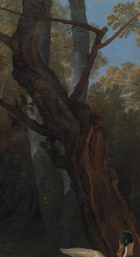 The textured bark and deep shadows create a sense of age and provide a dramatic backdrop, anchoring the composition.
