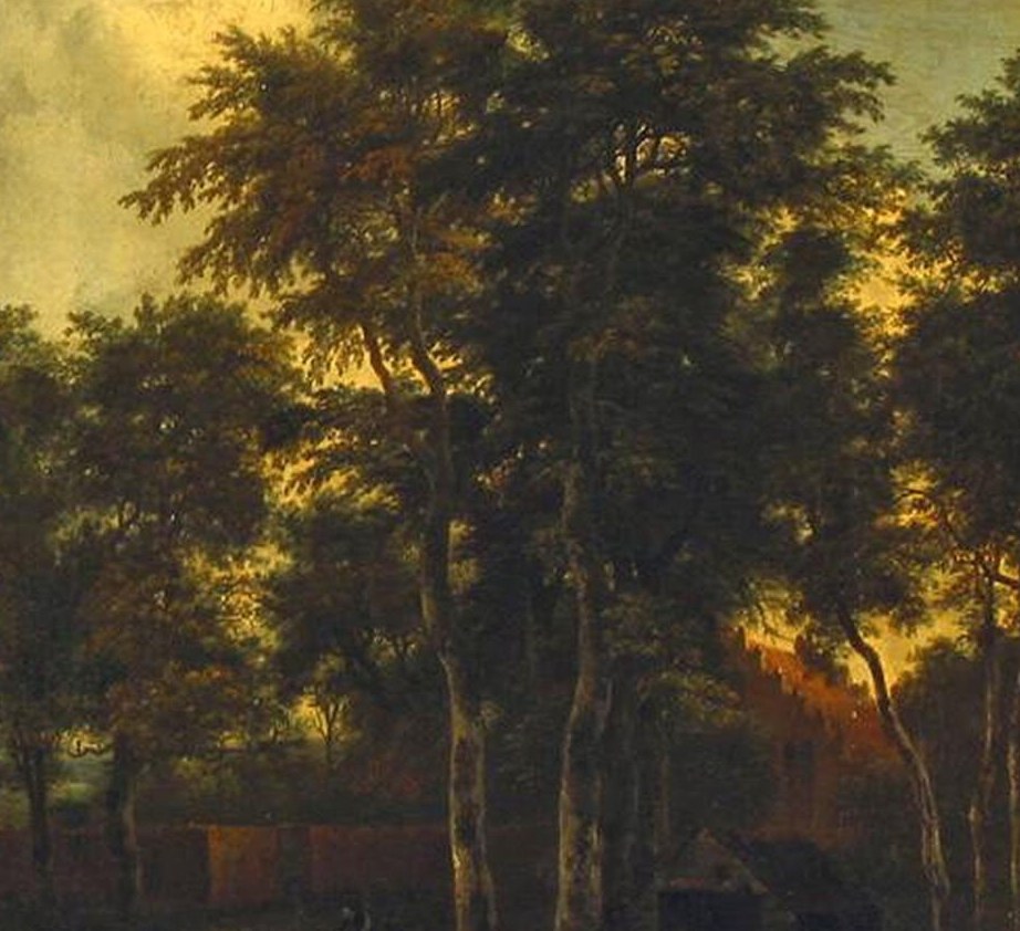 The dense foliage creates a sense of depth and mystery, with light filtering through the leaves.
