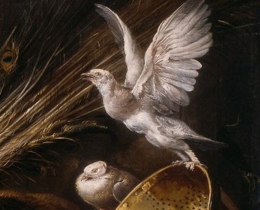 But look closely, a white dove still takes flight.